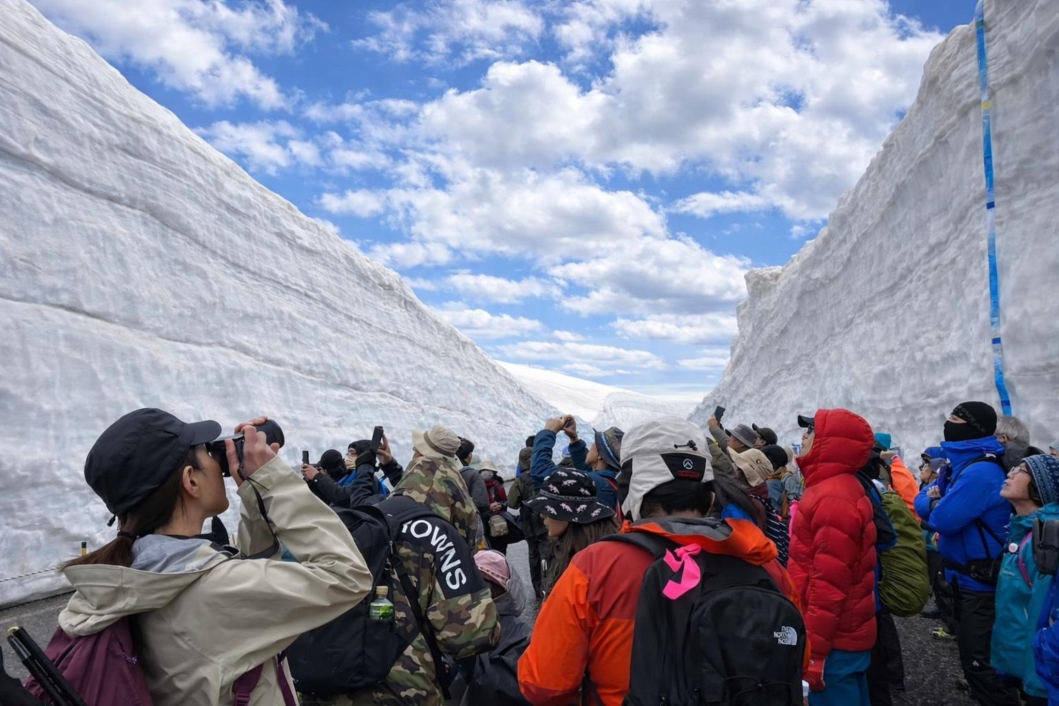 立山カルデラ砂防博物館の学芸員と行く『春の立山・雪の大谷』