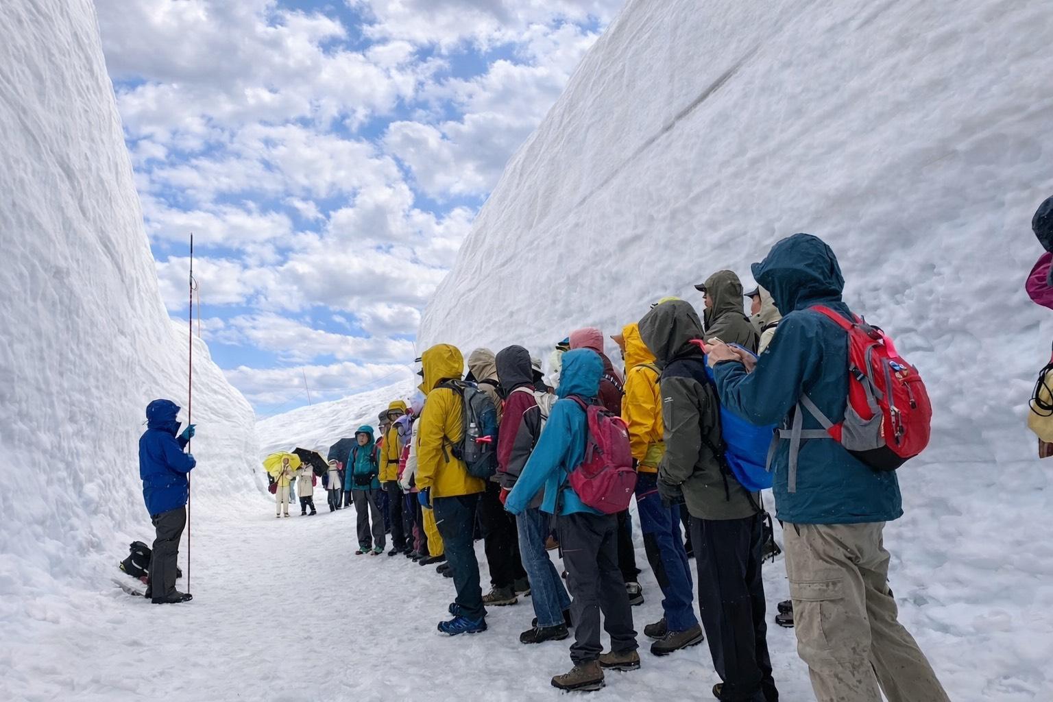 立山カルデラ砂防博物館の学芸員と行く『春の立山・雪の大谷』