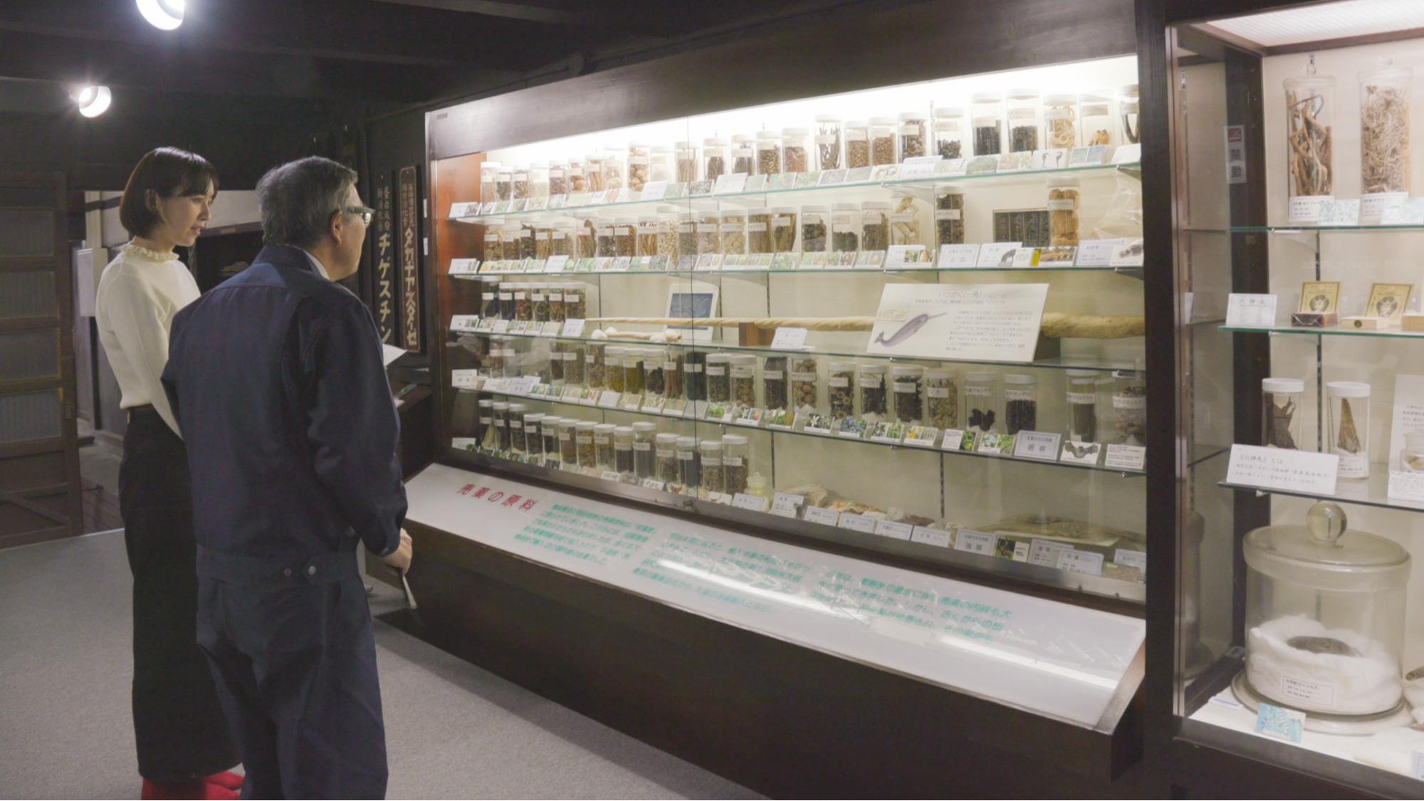 【コース5】 <富山市観光ツアー>ちょこたびPremium はじめての「薬都富山」満喫ツアー