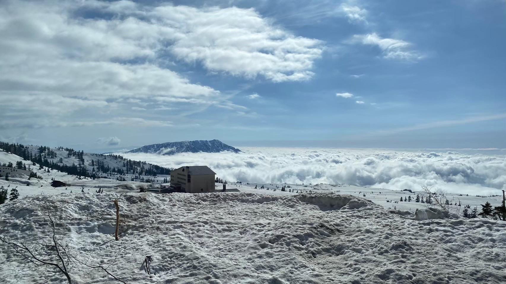 【高低差4,000mが生み出す特殊な世界を体験】
富山湾の神秘「ホタルイカ」と雪の大谷探訪ツアー