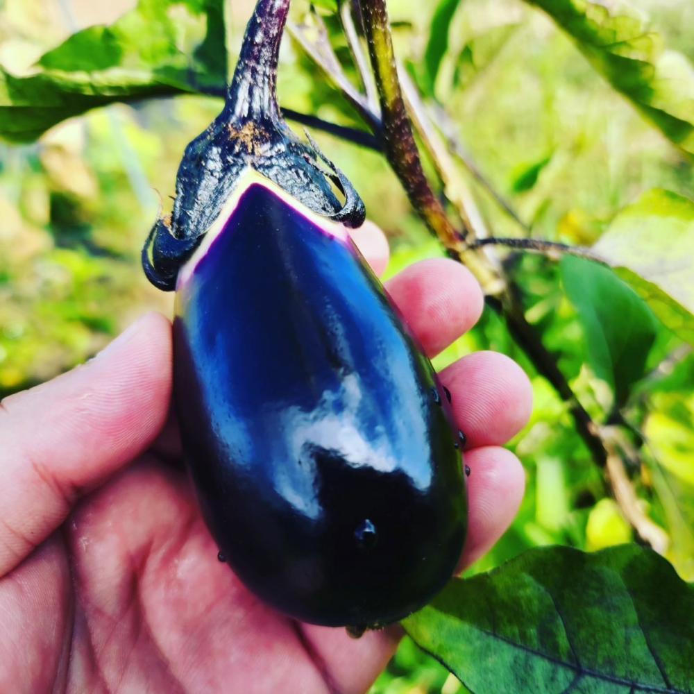 大工の技に学ぶDIY講座～古民家を再生し、加工場へ～