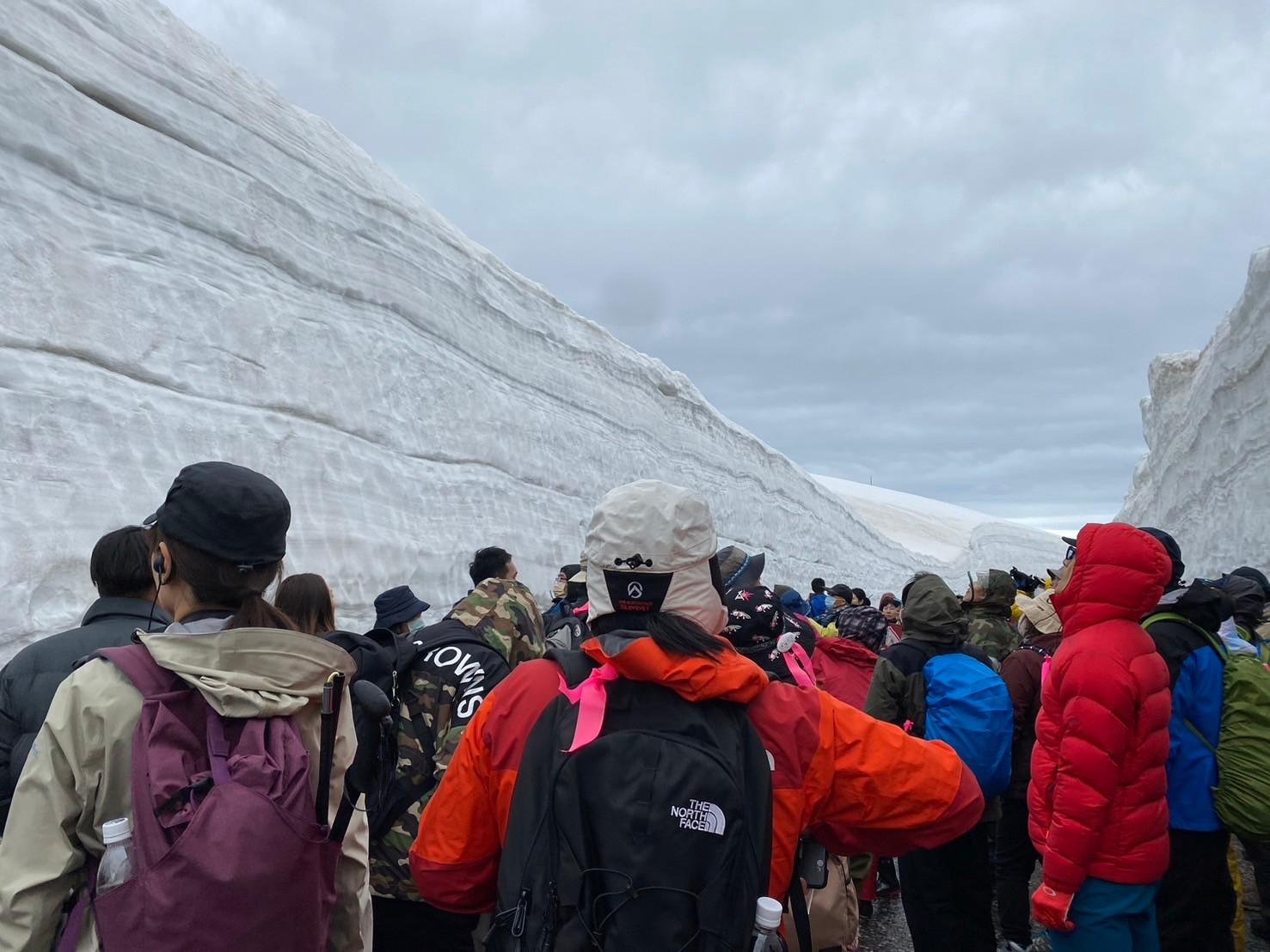【高低差4,000mが生み出す特殊な世界を体験】
富山湾の神秘「ホタルイカ」と雪の大谷探訪ツアー